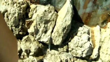 French amateur goes in for slamming hard