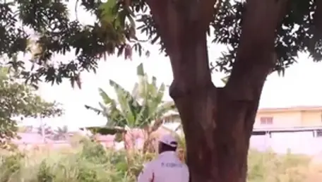 African threesome in HD