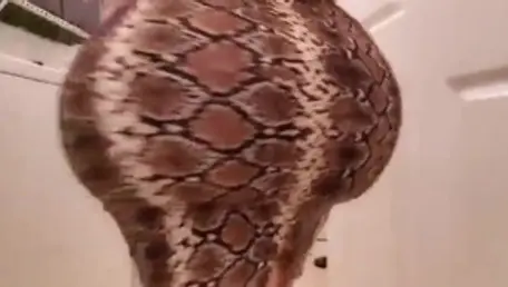 Hard nailining with young latina amateur