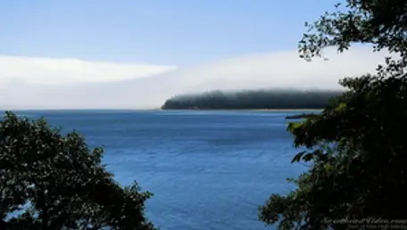 Turkish lesbian having fun HD