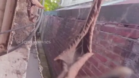 Pussy sex escorted by desi MILF