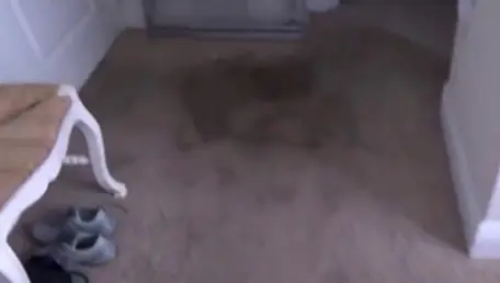 Chubby pounded by big cock husband