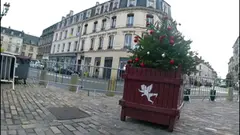 MILF allemande apprécie une pilonnée maison dans la boutique en hd.
