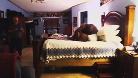 Cuckold live on webcam accompanied by wife