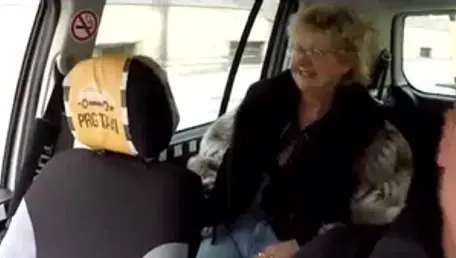 Doggystyle in car european