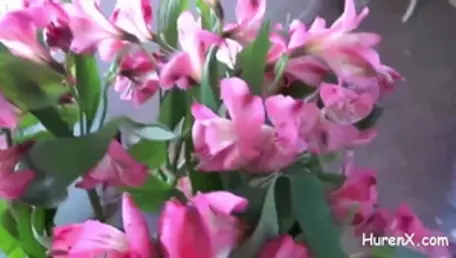 Very sexy deutsch escort cumshot HD