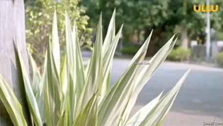 Tatiana Brown doggy fucks XXX video