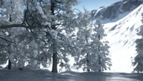 Blowjobs on Christmas in HD