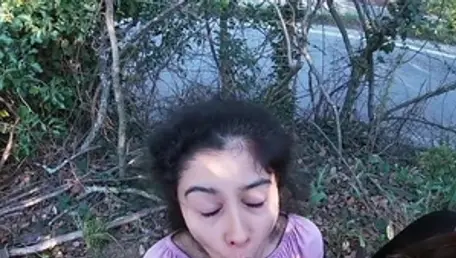 Une chienne japonaise fait du sexe en plein air à la maison.