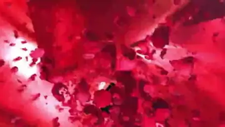 Asian kissing each other