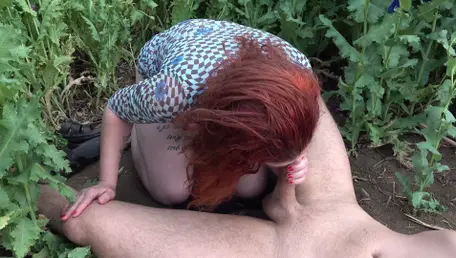 Assfuck Field